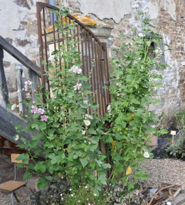 ALCEA Parkallee